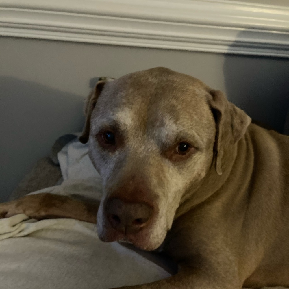 Meet your Posher, Aubriey